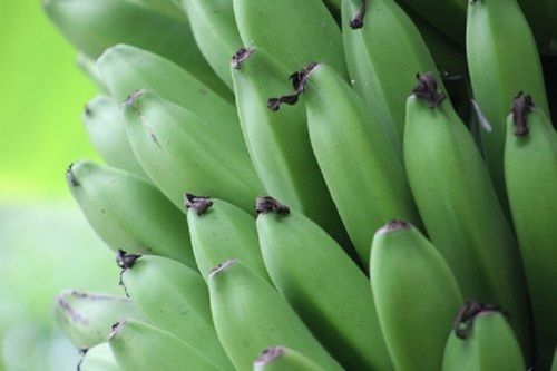Green Banana Good For Health, Natural Color, Without Polish, Good Quality, 100% Natural