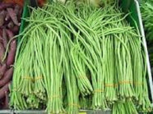 Long Green Beans (Lubia), Natural Taste, 100% Fresh And Natural, Quality Tested, Natural Color