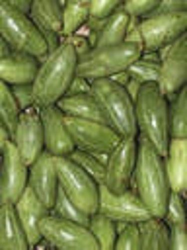 Solid Pointed Gourd (Parwal), High Quality, High Nutrient Content, Healthy And Natural, Green Color