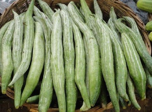 Snake Gourd, Fresh And Natural, A Grade Quality, Hygienically Safe To Eat, Natural Taste, Green Color
