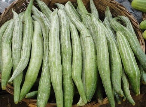 Solid Snake Gourd, Fresh And Natural, A Grade Quality, Hygienically Safe To Eat, Natural Taste, Green Color