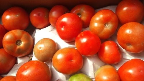 Round Top Quality Tomato, 100% Fresh And Natural, Natural Taste, Red Color, Free From Preservatives