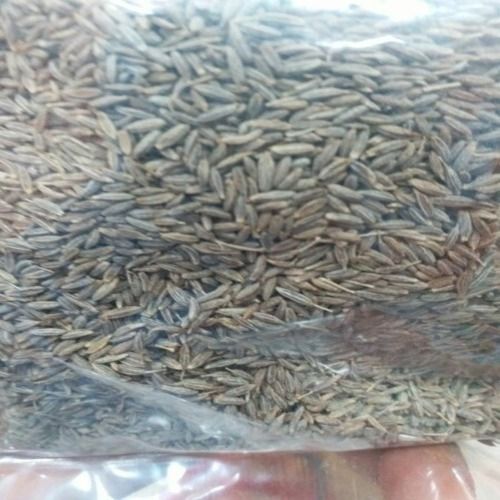 Aromatic Odour Natural Taste Healthy Organic Brown Cumin Seeds