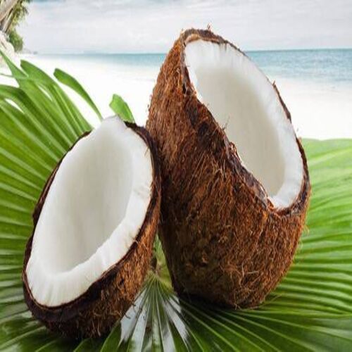 Good Natural Taste Rich in Water Healthy Brown Fresh Coconut