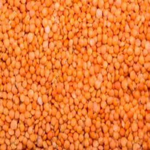 Highly Hygienic Easy To Cook High Protein Healthy Natural Masoor Dal