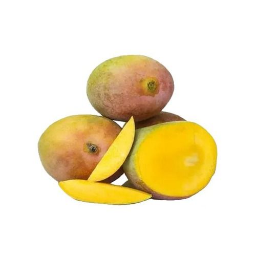 Indian Origin Rich Taste Lalbaug Mangoes