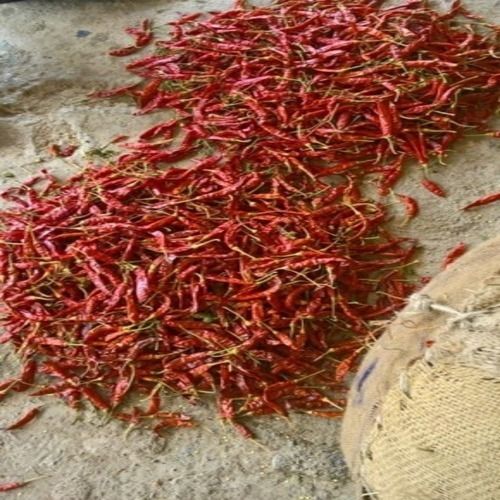 Spicy Hot Taste Healthy Natural Teja Dry Red Chilli Grade: Food Grade