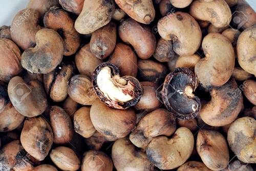 Common A Grade Cashew Nut Shell