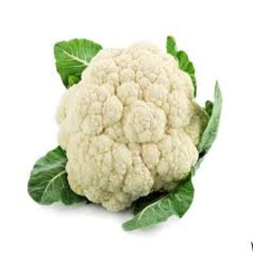 Eco-Friendly Healthy Natural Taste Organic Fresh Cauliflower Shelf Life: 0-5 Days