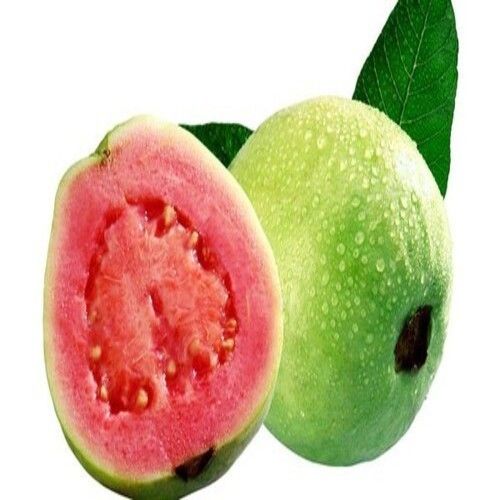 Round & Oval High Nutrition Sweet Taste Healthy Organic Fresh Guava