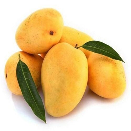 Natural Mild Sweet Organic Healthy Yellow Fresh Mango