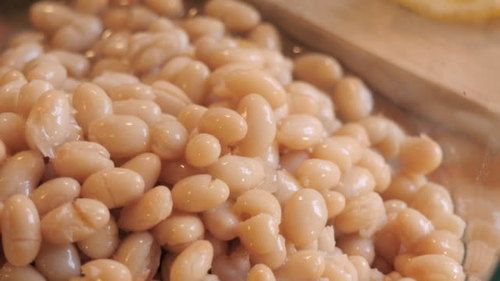 Best Quality Canned White Beans