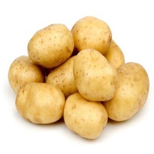 Good In Taste Maturity 100% Mild Flavor Healthy Fresh Potato
