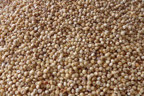 Yellow, Red And White Sorghum Grade: A Grade