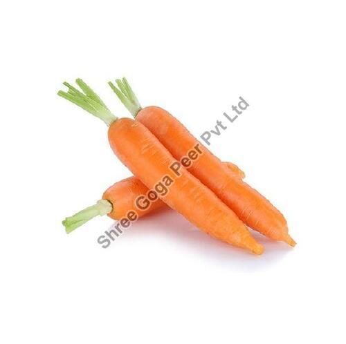  भोजन के लिए प्राकृतिक ताजा गाजर 
