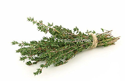 Natural Fresh Green Thyme for Cooking