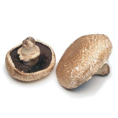 Natural Fresh Portobello Mushrooms for Cooking