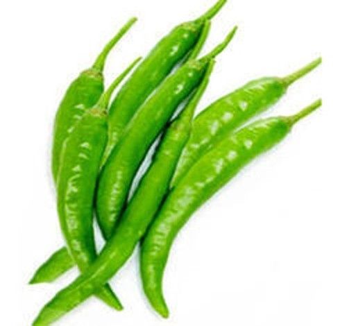 Spicy Hot Natural Taste No Preservatives Organic Fresh Green Chilli