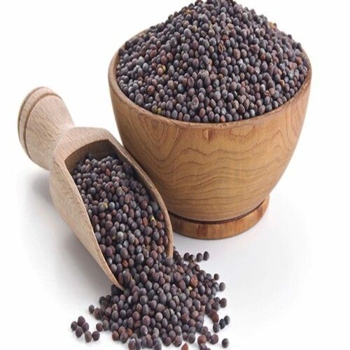 Organic Calcium 26% No Preservatives High Quality Natural Taste Healthy Black Mustard Seeds