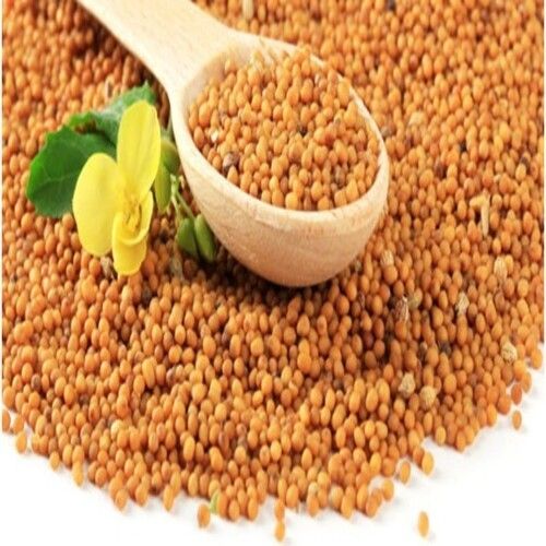 High Quality No Artificial Flavor Natural Taste Healthy Yellow Mustard Seeds