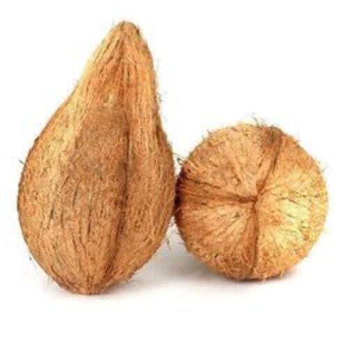 Natural Brown Semi Husked Coconut