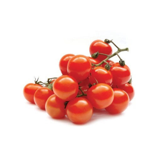 Natural Mild Flavor Healthy Organic Red Fresh Cherry Tomato