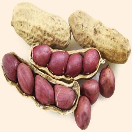 No Artificial Flavour Added Gluten Free Natural Taste Healthy Groundnut Seeds Grade: Food Grade