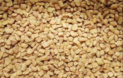 Fenugreek (Methi) Seeds For Food Industry Uses, 99% Purity, 100% Fresh And Natural, Good Quality, Natural Color, Whole Spices Ash %: 1.25% Max