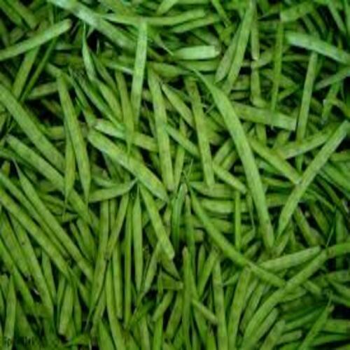 Silver Healthy And Natural Taste Green Fresh Cluster Beans