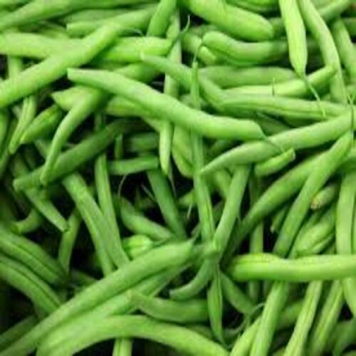 High In Protein Good For Health Fresh Green Beans Grade: Food Grade