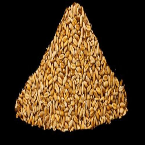 High Quality Healthy Natural Taste Dried Brown Wheat Seeds