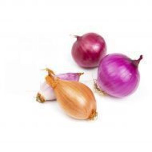 High Quality Natural Taste Healthy Organic Fresh Onion