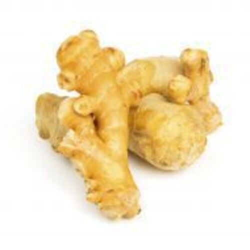 Natural Good Taste Healthy Organic Brown Fresh Ginger