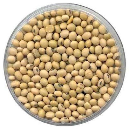 Soybean Seeds, Additional Benefit To Health, 90-99% Purity, 9% Moisture, Rich In Taste, Natural Color, Good Quality, Packaging Size : 1-5 Kg