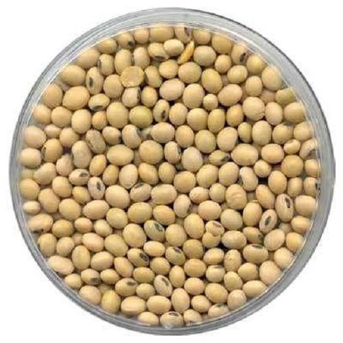 Yellowish Soybean Seeds, Additional Benefit To Health, 90-99% Purity, 9% Moisture, Rich In Taste, Natural Color, Good Quality, Packaging Size : 1-5 Kg