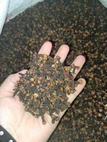 Indonesia Origing Naturally Dried Clove