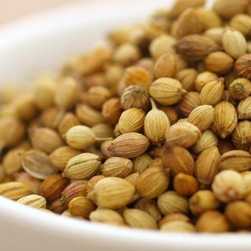 Brown Natural Coriander Seeds For Cooking