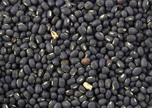 Dried High In Protein Healthy Natural Taste Black Beans Grade: Food Grade