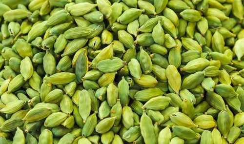 Fresh Green Cardamom For Cooking