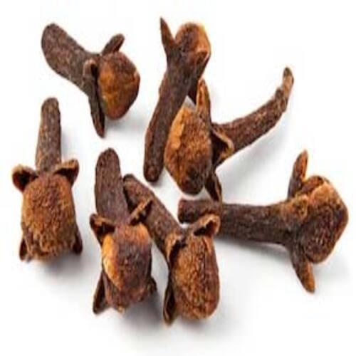 Good Quality Healthy Dried Brown Natural Dry Clove Pods