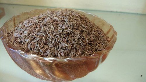 Natural Brown Caraway Seeds for Cooking