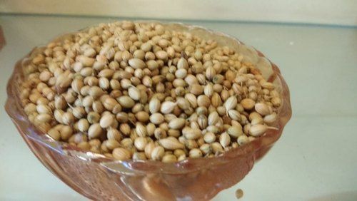 Brown Natural Coriander Seeds For Cooking