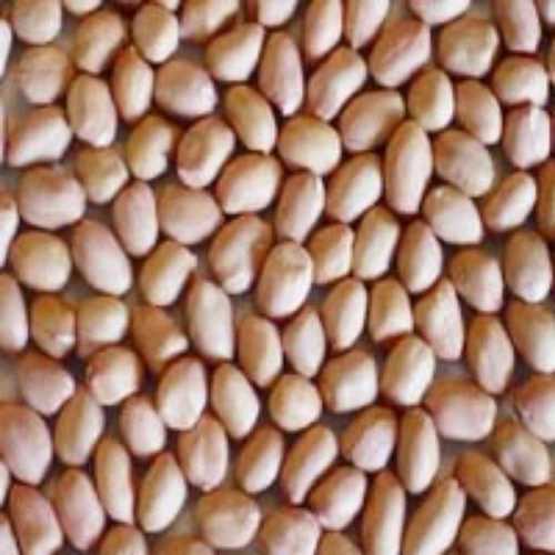 Organic Dried Brown Groundnut Seeds