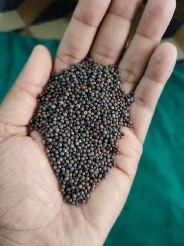 Natural Black Mustard Seeds For Cooking