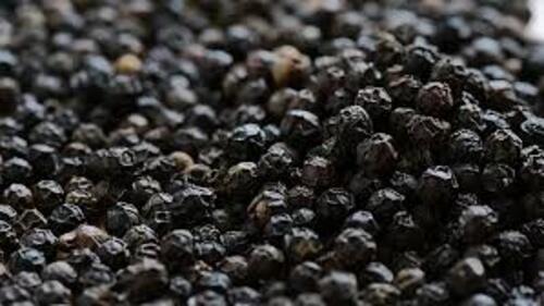 Natural Black Pepper Seeds for Cooking