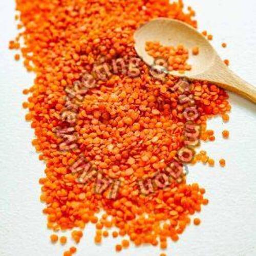 Organic Natural Fresh Red Lentils For Cooking