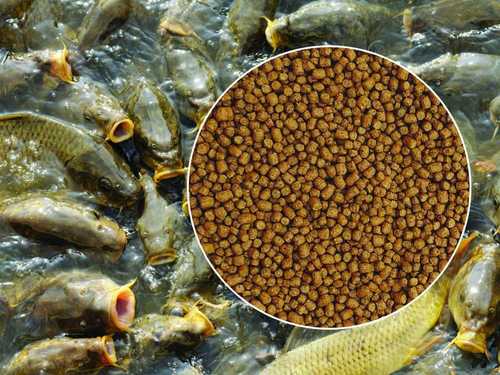 Rohu Fish Feed Granules