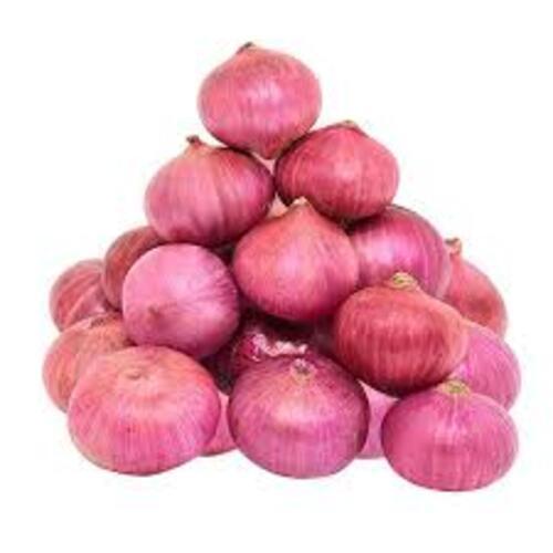 Round & Oval Hygienic No Added Color Natural Taste Healthy Fresh Red Onion