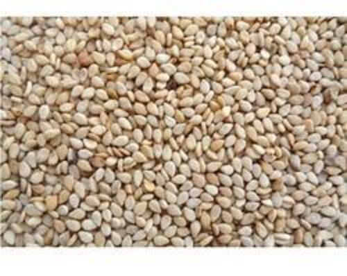 Natural Brown Sesame Seeds for Food