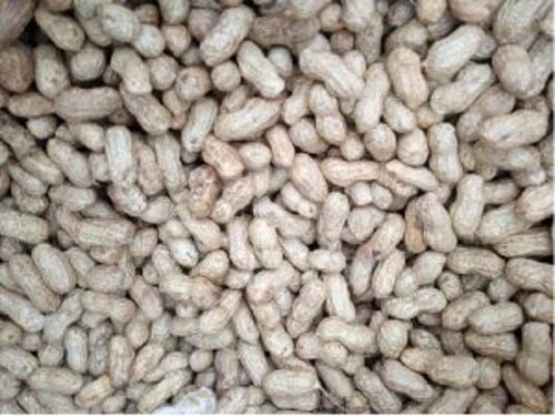 Organic Natural Brown Shelled Groundnuts